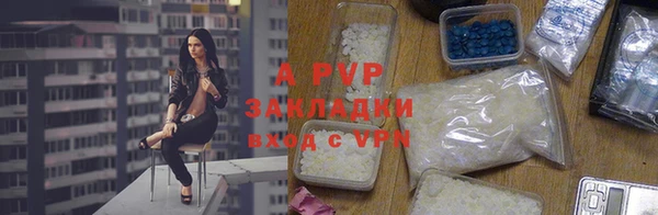 прущие грибы Пестово