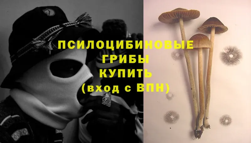 где найти   Островной  Псилоцибиновые грибы MAGIC MUSHROOMS 