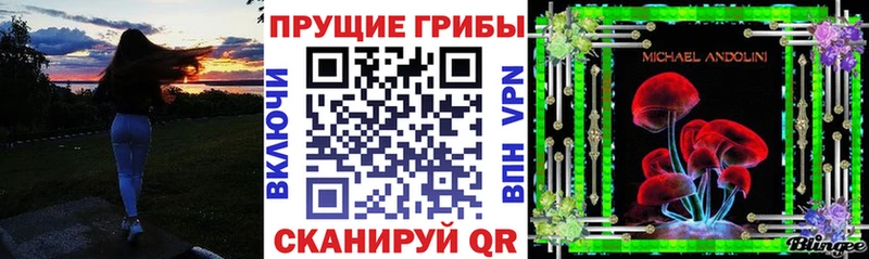 где купить наркоту  Островной  Галлюциногенные грибы GOLDEN TEACHER 